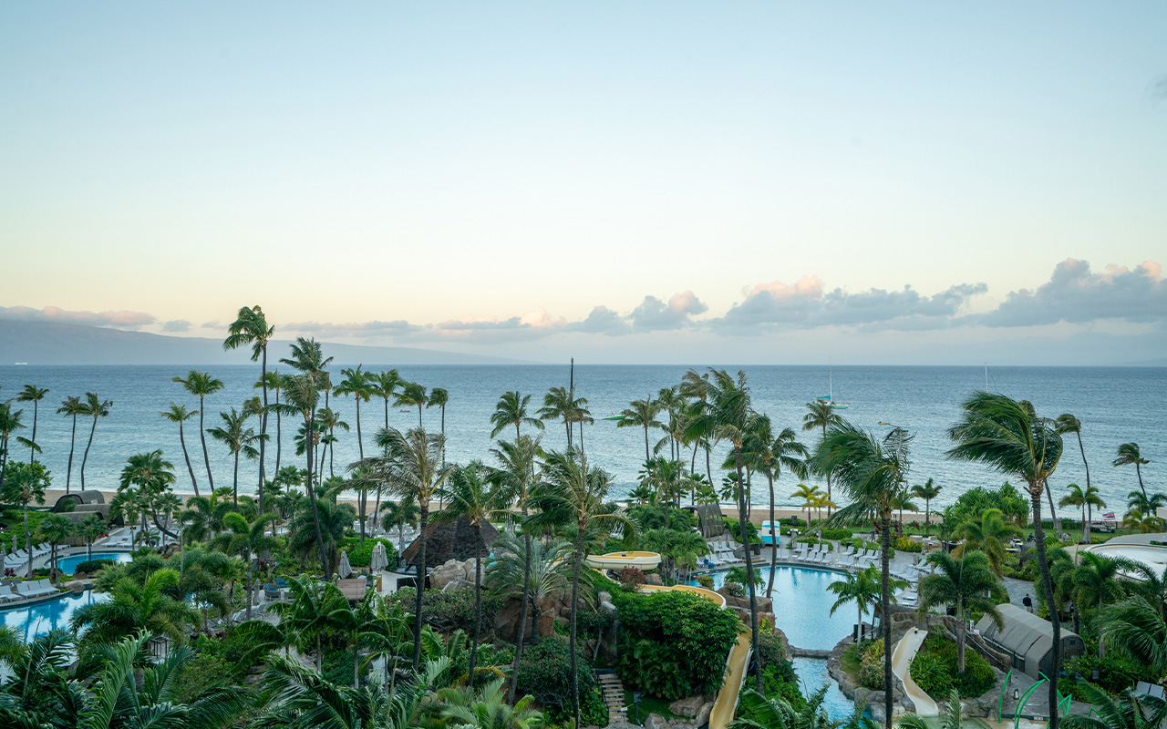 hawaii beach front with palm trees